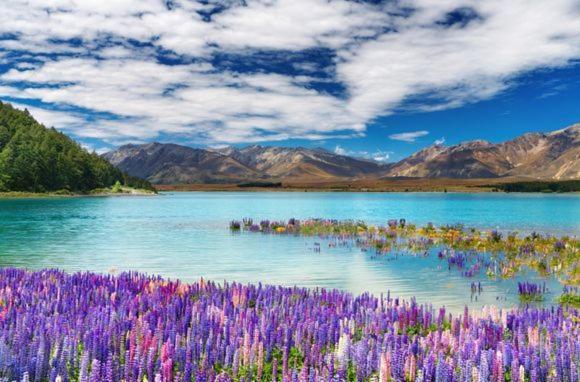 Te Anau Manapouri Lake Hotel Luaran gambar